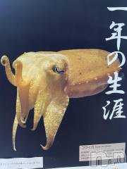 上越デリヘル上越最安値！奥様Deli急便(ジョウエツサイヤスネ！オクサマデリキュウビン) 限定レア出勤 はるか(42)の10月17日写メブログ「ごめんなさい」