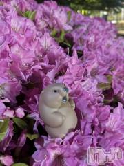 上越デリヘル上越最安値！奥様Deli急便(ジョウエツサイヤスネ！オクサマデリキュウビン) 限定レア出勤 はるか(42)の8月15日写メブログ「いい」