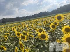 上越デリヘル上越最安値！奥様Deli急便(ジョウエツサイヤスネ！オクサマデリキュウビン) 限定レア出勤 はるか(42)の8月19日写メブログ「明日から」