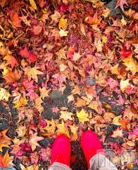 上越デリヘル上越最安値！奥様Deli急便(ジョウエツサイヤスネ！オクサマデリキュウビン) 限定レア出勤 はるか(42)の11月15日写メブログ「明日(//∇//)」