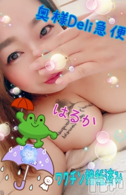 限定レア出勤 はるか(38) 身長166cm、スリーサイズB97(F).W74.H93。上越人妻デリヘル 上越最安値！奥様Deli急便(ジョウエツサイヤスネ！オクサマデリキュウビン)在籍。