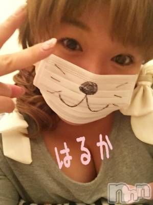 上越デリヘル 上越最安値！奥様Deli急便(ジョウエツサイヤスネ！オクサマデリキュウビン) 限定レア出勤 はるか(42)の9月4日写メブログ「こんばんは」