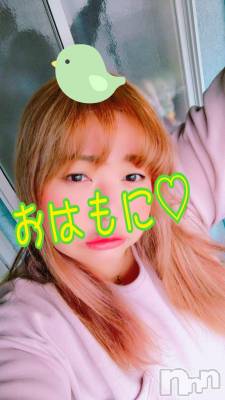 上越デリヘル 上越最安値！奥様Deli急便(ジョウエツサイヤスネ！オクサマデリキュウビン) 限定レア出勤 はるか(42)の3月1日写メブログ「おはよー」