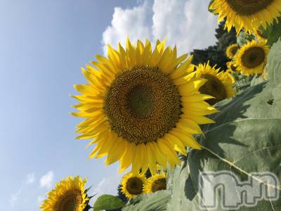 上越デリヘル 上越最安値！奥様Deli急便(ジョウエツサイヤスネ！オクサマデリキュウビン) 限定レア出勤 はるか(42)の4月25日写メブログ「あちかったね」