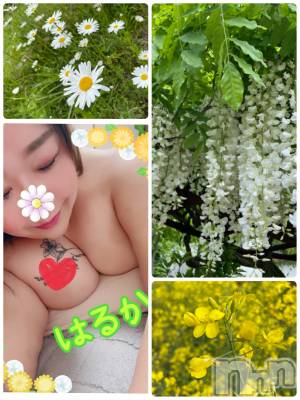 上越デリヘル 上越最安値！奥様Deli急便(ジョウエツサイヤスネ！オクサマデリキュウビン) 限定レア出勤 はるか(42)の5月17日写メブログ「ありがと」