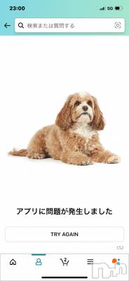 上越デリヘル 上越最安値！奥様Deli急便(ジョウエツサイヤスネ！オクサマデリキュウビン) 限定レア出勤 はるか(42)の4月27日写メブログ「ごめんなさい」