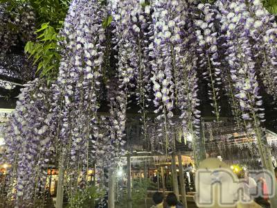 上越デリヘル 上越最安値！奥様Deli急便(ジョウエツサイヤスネ！オクサマデリキュウビン) 限定レア出勤 はるか(42)の5月7日写メブログ「GWが去り」