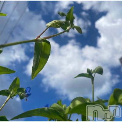 上越デリヘル 上越最安値！奥様Deli急便(ジョウエツサイヤスネ！オクサマデリキュウビン) 限定レア出勤 はるか(42)の9月24日写メブログ「いやはや」