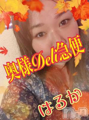 限定レア出勤 はるか(38) 身長166cm、スリーサイズB97(F).W74.H93。上越人妻デリヘル 上越最安値！奥様Deli急便(ジョウエツサイヤスネ！オクサマデリキュウビン)在籍。