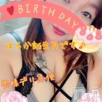 限定レア出勤 はるか