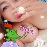 限定レア出勤 はるか