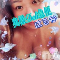 限定レア出勤 はるか