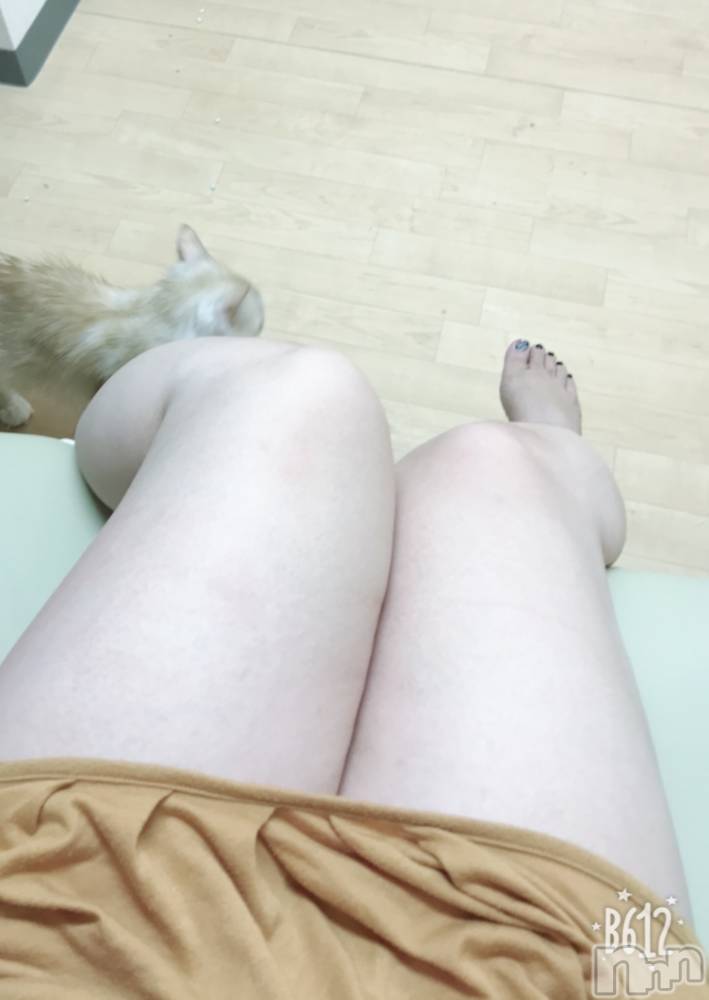 松本発ぽっちゃり癒し姫 松本店(イヤシヒメマツモトテン) 【S】白河小梅(43)の8月14日写メブログ「掃除の合間に(๑′ฅฅ‵๑)ｳﾌﾌ」