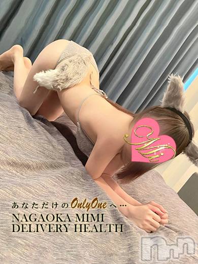 長岡デリヘル(ミミ)の2022年12月5日お店速報「厳選地元美女専門★午前中から激アツメンバー勢揃いっ！」