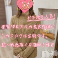 長岡デリヘル Mimi(ミミ)の6月23日お店速報「連日見逃し厳禁な地元体験美女が出勤中！オキニが必ず見つかる！」