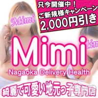 長岡デリヘル Mimi(ミミ)の11月1日お店速報「地元美女がお試しで今なら６０分１２０００円で遊べちゃう！？」