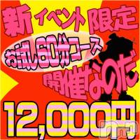 長岡デリヘル Mimi(ミミ)の11月3日お店速報「超お得な【お試し６０分】極上の地元美女が衝撃価格で遊べちゃう！」