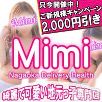 長岡デリヘル Mimi(ミミ)の11月5日お店速報「地元美女在籍100％！オキニが必ず見つかる！！！」