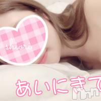 長岡デリヘル Mimi(ミミ)の12月8日お店速報「地元の未経験美女の入店が止まりません！見逃し厳禁！！！」