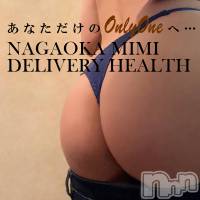 長岡デリヘル Mimi(ミミ)の4月22日お店速報「安心安全に遊ぶならやっぱり地元美女で間違いナシッ！！！」