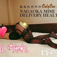 長岡デリヘル Mimi(ミミ)の5月19日お店速報「【地元体験美女】超～エロイイ美人お姉さんは絶対に見逃せませんっ！」