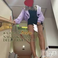 長岡デリヘル Mimi(ミミ)の11月20日お店速報「長岡の週末はイチオシの美女祭り！絶対に後悔させませんっ！！！」
