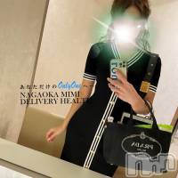 長岡デリヘル Mimi(ミミ)の10月1日お店速報「未経験の地元美女からイチオシ美女まで選びたい放題ですっ！」