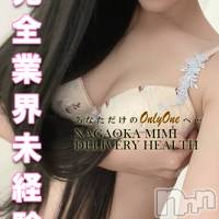 長岡デリヘル Mimi(ミミ)の3月8日お店速報「地元未経験の新人さんが『超』が付く程ドエロいっ！見逃し厳禁！」