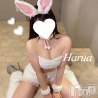 長岡デリヘル Mimi(ミミ)の10月5日お店速報「地元のイチオシオキニと遊ぶならMimiにお任せっ！！！」