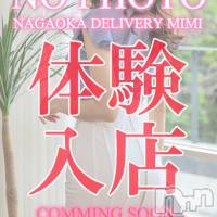 長岡デリヘル Mimi(ミミ)の5月23日お店速報「本日緊急体験デビューの予感！？速報が見逃せない！！！」