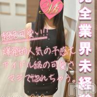 長岡デリヘル Mimi(ミミ)の11月17日お店速報「今週の超激アツ地元美少女未経験デビュー！見逃し厳禁！！！！」