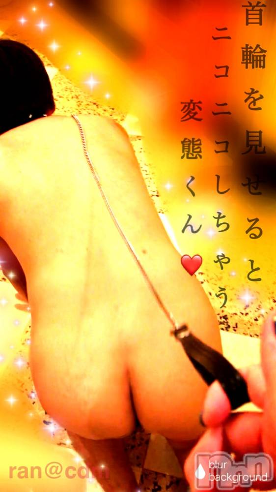 松本発デリヘルcoin d amour-松本市発(コインダムール-マツモトシハツ) （松本発）蘭（らん）お姉様(99)の8月25日写メブログ「マゾペットとお散歩♪」