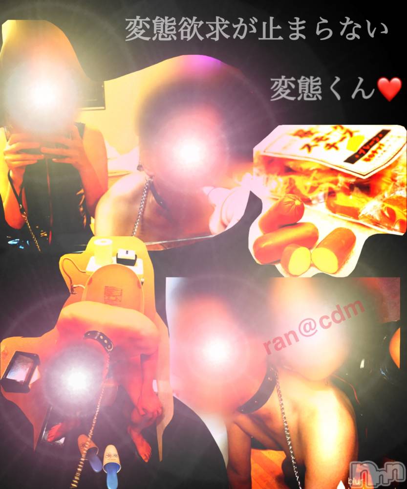 松本発デリヘルcoin d amour-松本市発(コインダムール-マツモトシハツ) （松本発）蘭（らん）お姉様(99)の8月19日写メブログ「変態フルコース♡」