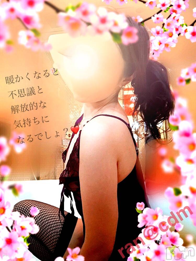 松本発SMcoin d amour(コインダムール)（松本発）蘭（らん）お姉様(99)の2019年4月17日写メブログ「変態っぷり見せて♡‬」