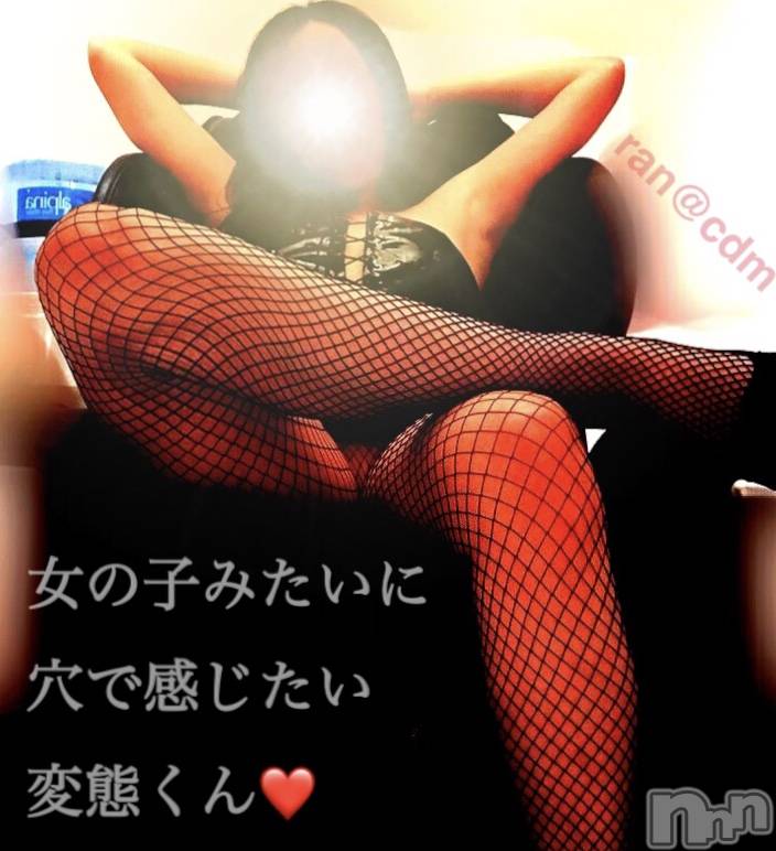 松本発SMcoin d amour(コインダムール)（松本発）蘭（らん）お姉様(99)の2019年11月13日写メブログ「ペニクリと一緒に。。♡」