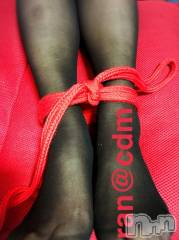 松本発デリヘルcoin d amour-松本市発(コインダムール-マツモトシハツ) （松本発）蘭（らん）お姉様(99)の3月28日写メブログ「奈々お姉様と縄遊び♡」