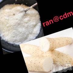 松本発デリヘル（松本市発）コインダムール(コインダムール-マツモトシハツ) （松本市発）蘭（らん）お姉様(30)の12月21日写メブログ「トロロと精子☆」
