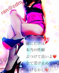 松本発デリヘルcoin d amour-松本市発(コインダムール-マツモトシハツ) （松本発）蘭（らん）お姉様(99)の4月14日写メブログ「変態欲が抑えきれないの。」