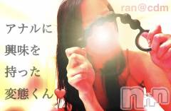 松本発デリヘルcoin d amour-松本市発(コインダムール-マツモトシハツ) （松本発）蘭（らん）お姉様(99)の11月8日写メブログ「アナルでイッてみたい！」