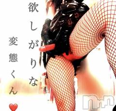 松本発デリヘルcoin d amour-松本市発(コインダムール-マツモトシハツ) （松本発）蘭（らん）お姉様(99)の12月1日写メブログ「挿入して下さい。。って♡」