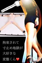松本発デリヘル（松本市発）コインダムール(コインダムール-マツモトシハツ) （松本市発）蘭（らん）お姉様(30)の2月20日写メブログ「寸止め後の射精の快感♡」