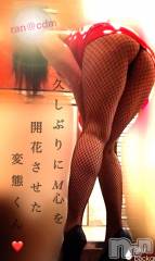 松本発デリヘルcoin d amour-松本市発(コインダムール-マツモトシハツ) （松本発）蘭（らん）お姉様(99)の6月18日写メブログ「受け身の快楽。。♡」
