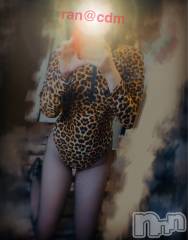 松本発デリヘルcoin d amour-松本市発(コインダムール-マツモトシハツ) （松本発）蘭（らん）お姉様(99)の2月6日写メブログ「三大欲求満たしたい❤️」