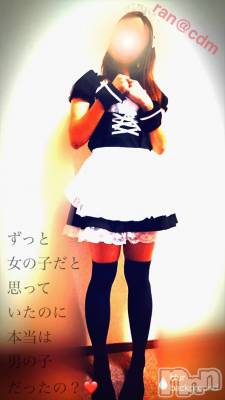 松本発SM coin d amour(コインダムール) （松本発）蘭（らん）お姉様(99)の4月11日写メブログ「性奴隷として...」