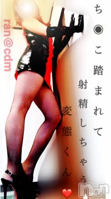 松本発デリヘル coin d amour-松本市発(コインダムール-マツモトシハツ) (松本発)蘭(らん)お姉様(99)の5月29日写メブログ「足でち〇こ踏まれて興奮しちゃったね。」
