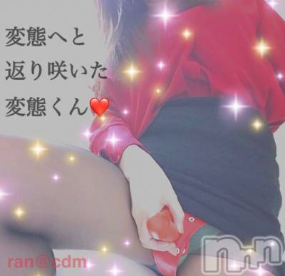 松本発デリヘル coin d amour-松本市発(コインダムール-マツモトシハツ) （松本発）蘭（らん）お姉様(99)の9月22日写メブログ「レイプして！おねだりされちゃった♪」