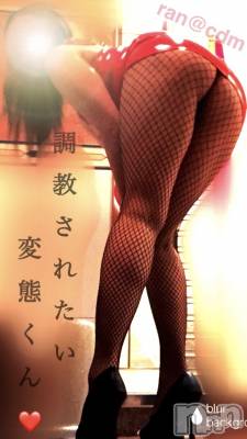 松本発SM coin d amour(コインダムール) （松本発）蘭（らん）お姉様(99)の11月14日写メブログ「乳首クリップ付けられて。。♡」