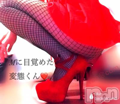 松本発SM coin d amour(コインダムール) （松本発）蘭（らん）お姉様(99)の11月25日写メブログ「ディズニーランドみたいだね。。♡」