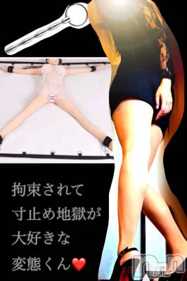 松本発SM coin d amour(コインダムール) （松本発）蘭（らん）お姉様(99)の2月20日写メブログ「寸止め後の射精の快感♡」