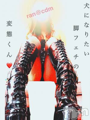 松本発デリヘル coin d amour-松本市発(コインダムール-マツモトシハツ) （松本発）蘭（らん）お姉様(99)の5月14日写メブログ「寸止め射精☆」